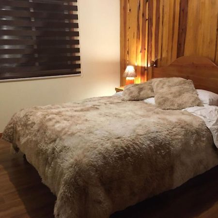 Ruka Pucon Hostel Εξωτερικό φωτογραφία